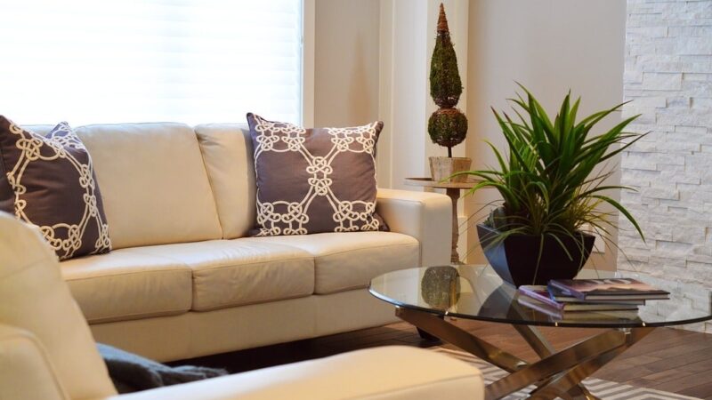 Décorer un intérieur avec des éléments naturels